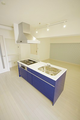 ホンダクリオビル  キッチン