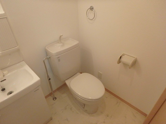 アネシス   その他3