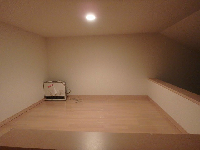 アネシス   その他4