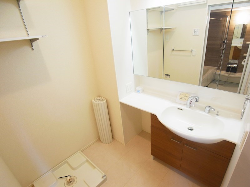 アピオンⅡ その他2