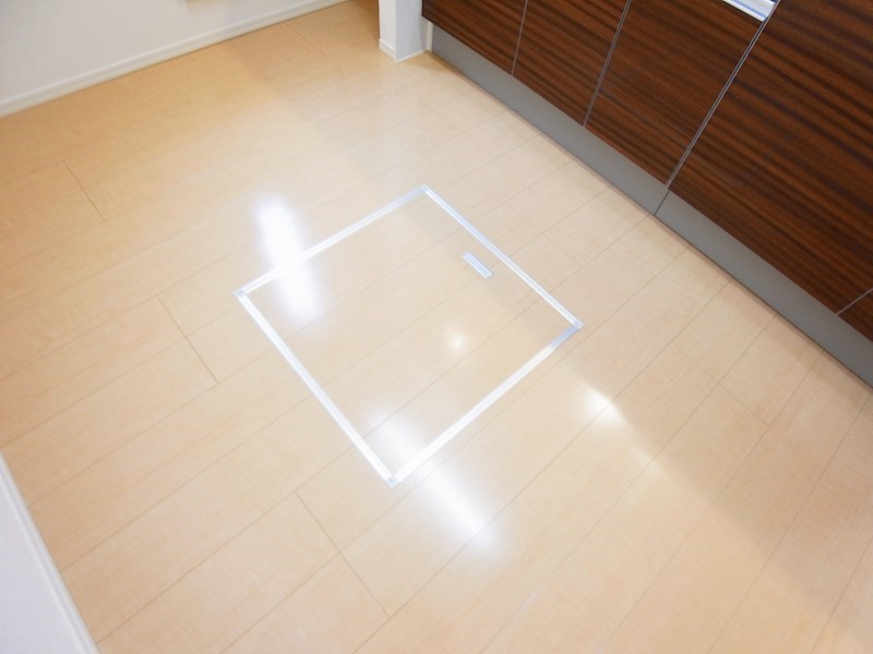 アピオンⅡ その他15