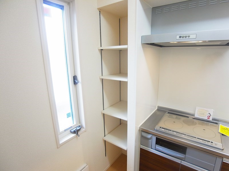 アピオンⅡ その他16