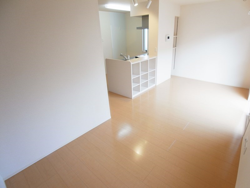 アピオンⅡ その他17