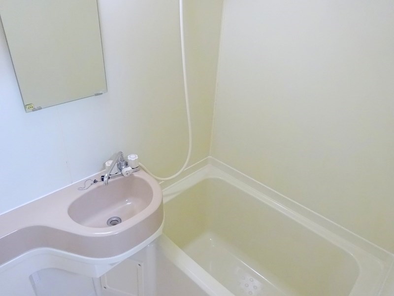 ドームサウス 洗面所