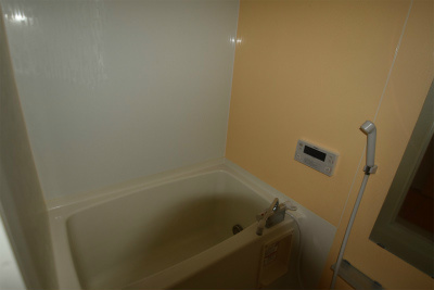 グラン・アレ湘南 風呂画像