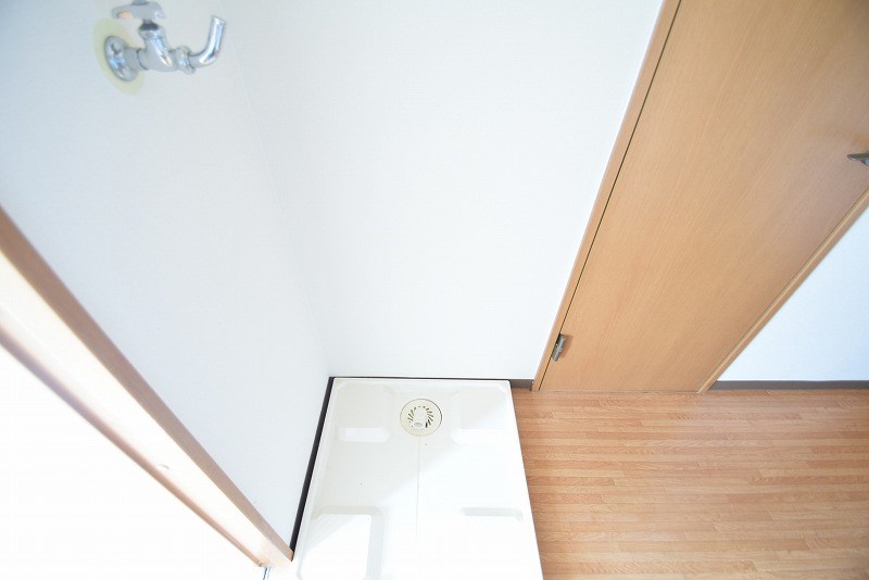 カモミール その他5