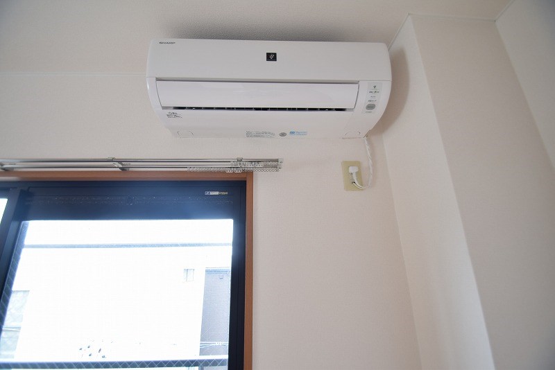 カモミール その他6