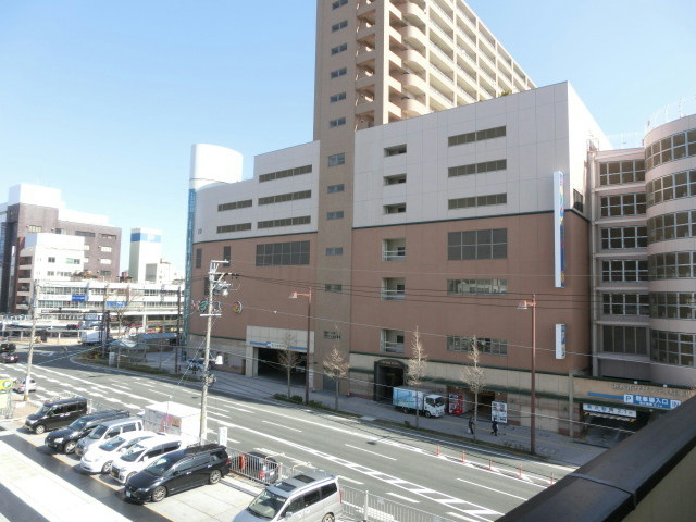 カモミール その他外観1