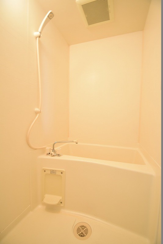 カモミール その他8