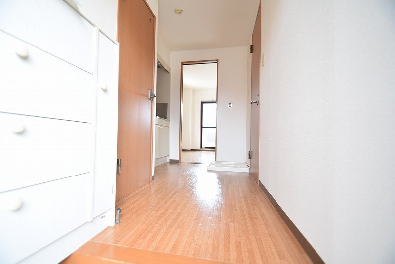 カモミール その他12