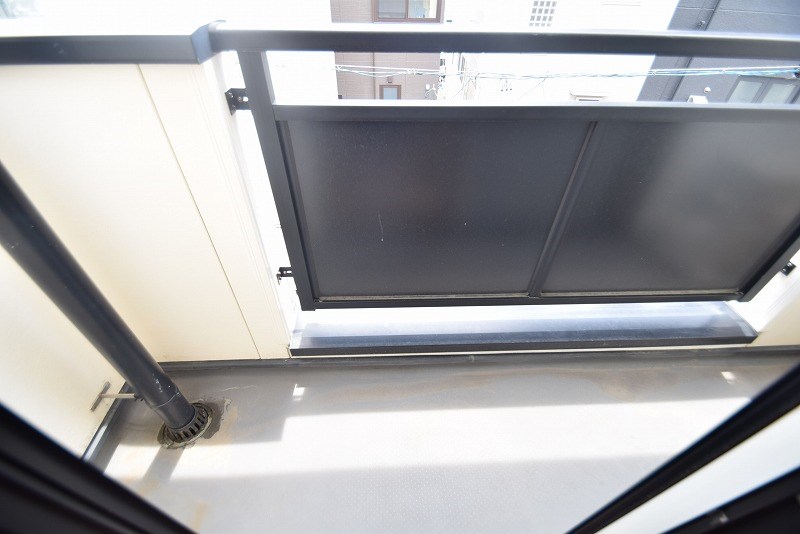 カモミール その他15