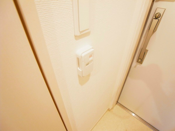 リブリ・ソレーユはつみ その他9