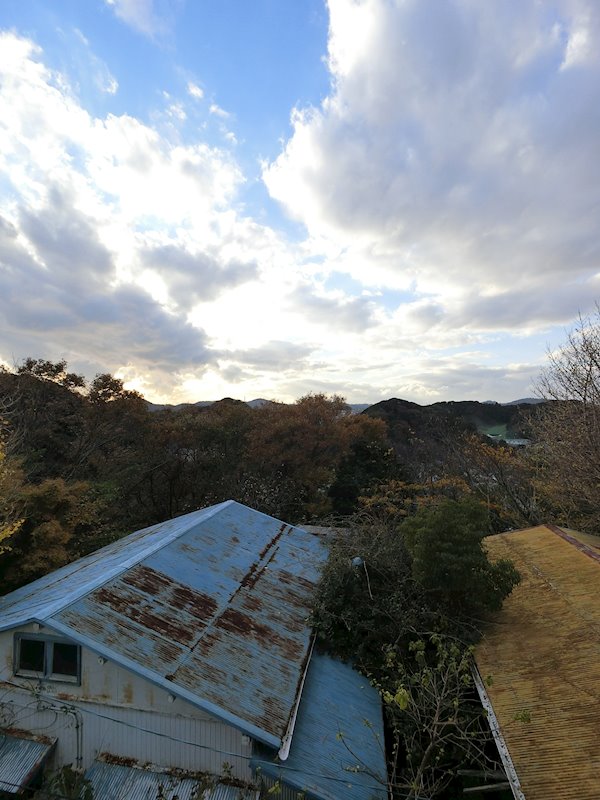 フォーアール佐野 その他14