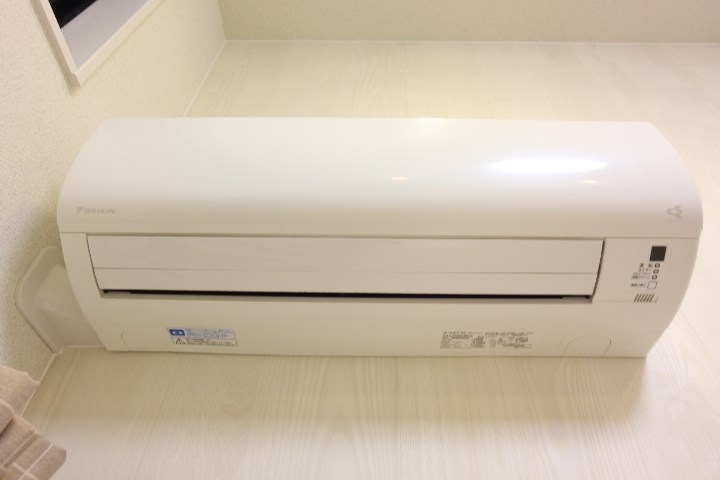 Reef その他4