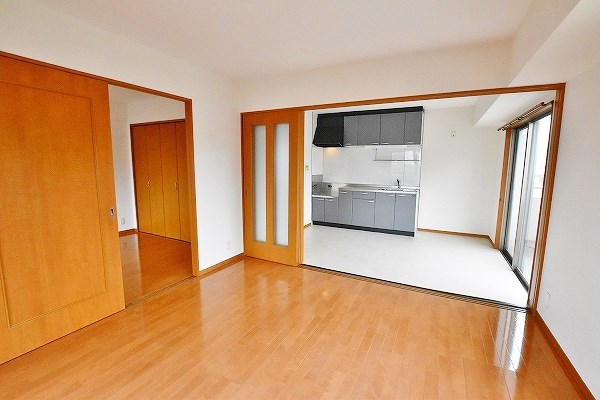 ウエルス守恒 その他30