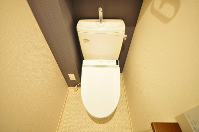 ギャラクシーヴィーラブライト その他2