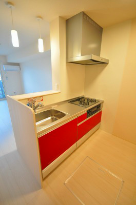 HN&amp;#39;s D-room in 楡  キッチン