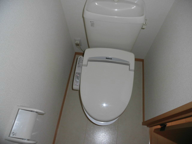 コスモス その他2