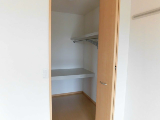コスモス その他3