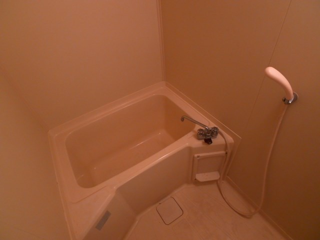 リバーサイドＡ 風呂画像