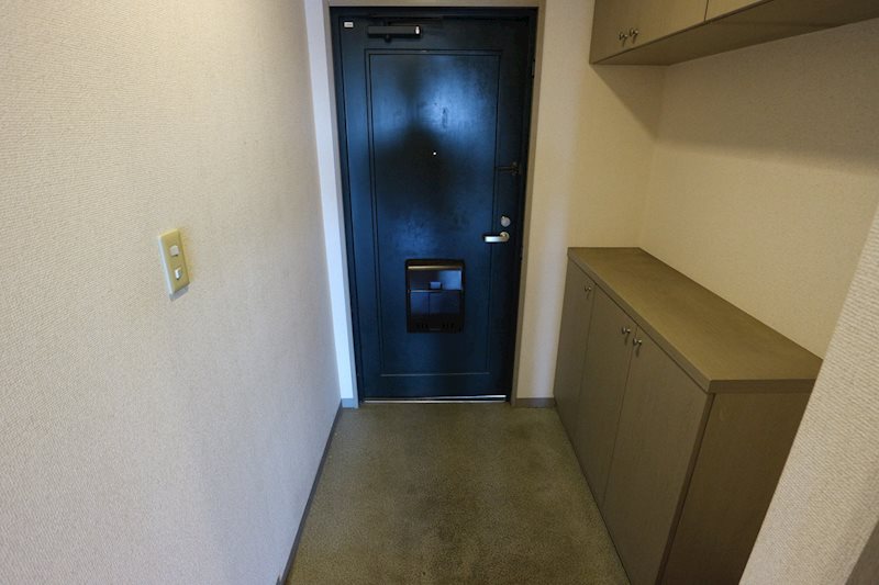 ステーションプラザⅡ 玄関