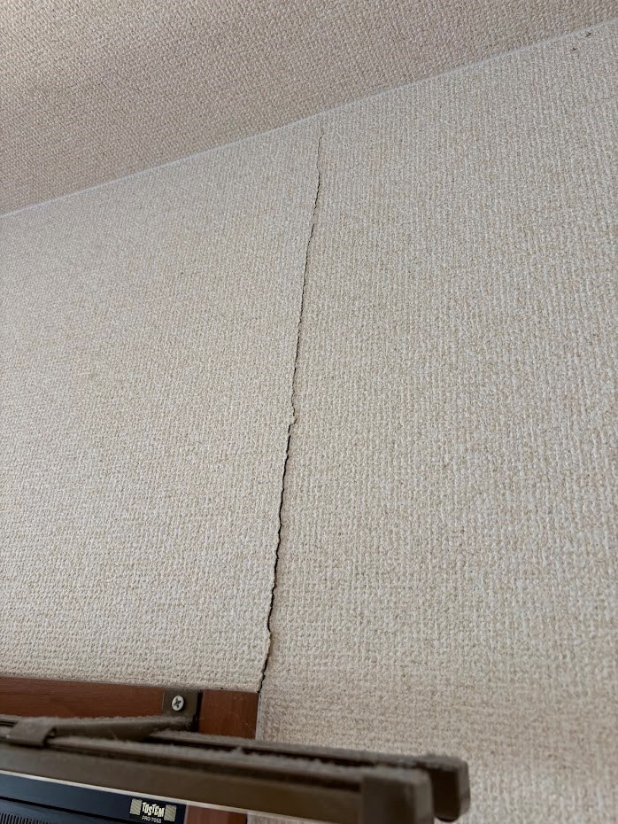 Ｎｅｗ　Ｃｅｎｔｕｒｙ  その他8