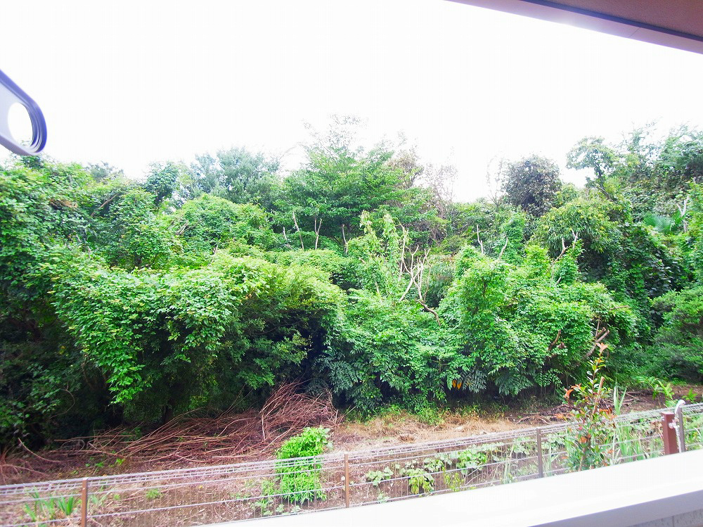 ウエスト　メゾン　Ｓ その他6