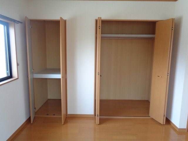 サンフラワー その他3