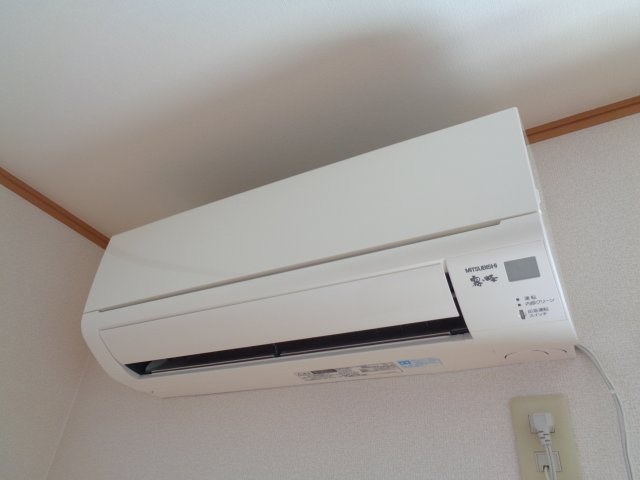 サンフラワー その他4