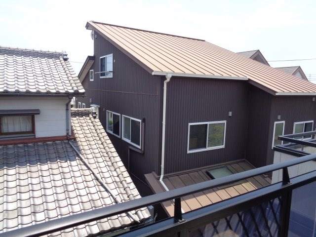 サンフラワー その他6