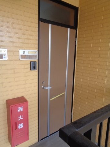 サンフラワー その他7