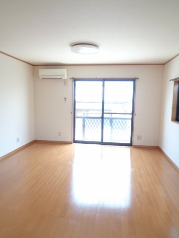 サンフラワー その他8