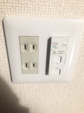 サンフラワー その他10