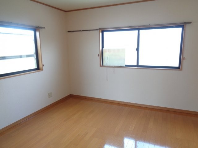 サンフラワー その他13