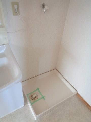 サンフラワー その他17