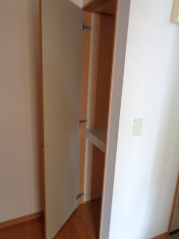 サンフラワー その他19