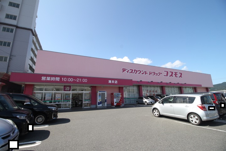 副田ハイツ ドラッグストア