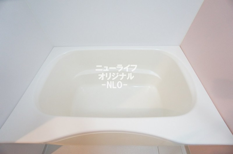 ヴェルドミール その他