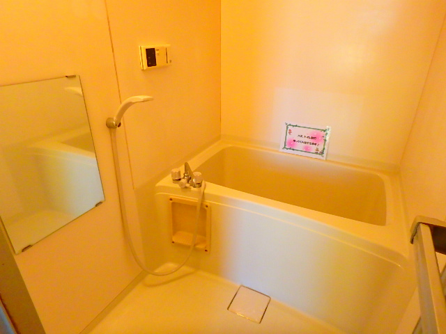三好屋南小岩ビル  風呂画像