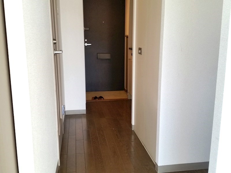 シオンSHIZU その他