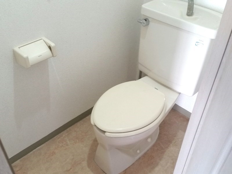 シオンSHIZU その他