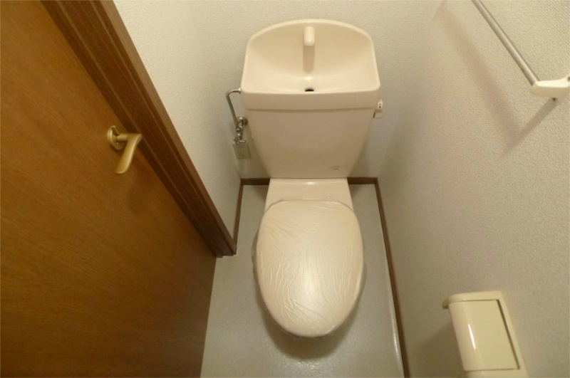 ルーチェ・デル・ソーレ その他4