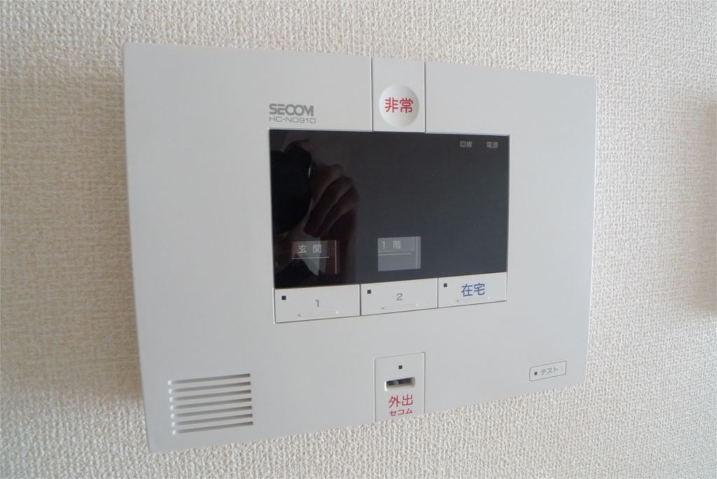 サフラン その他10