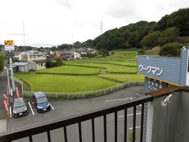 ドールハウス その他8