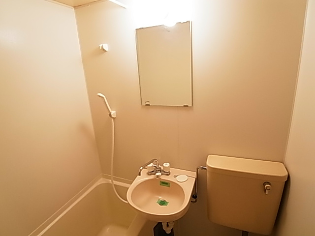 ジュネパレスコスギ その他2