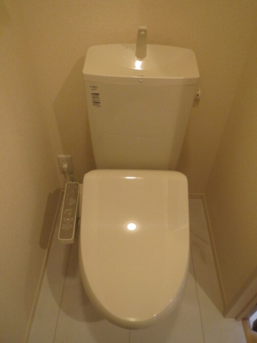 Lumiere Maruju その他1