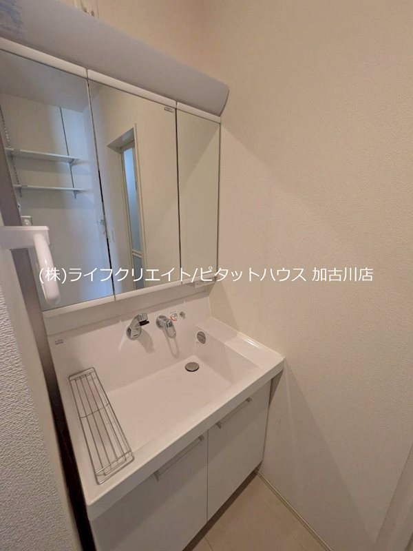 DヴェルジェV その他2