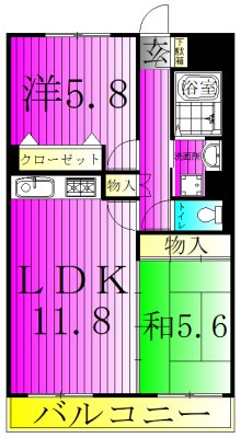 ピュアコート柏 202号室 間取り