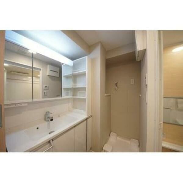 ルーエ錦 その他2