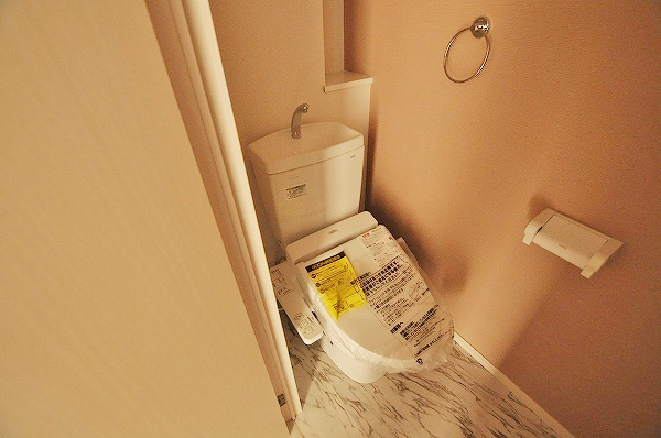 ステラZEN(ステラゼン) その他2